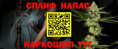Альфа ПВП Будённовск
