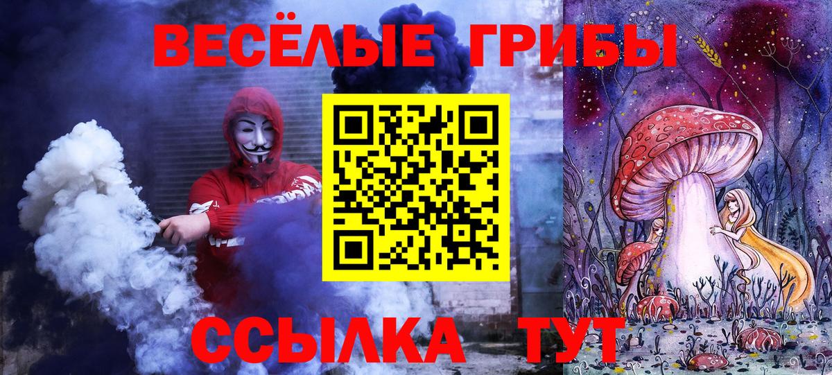 Псилоцибиновые грибы прущие грибы Шатура
