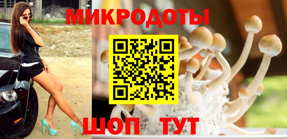 Шатура  Галлюциногенные грибы мицелий  наркота  Вход с VPN 